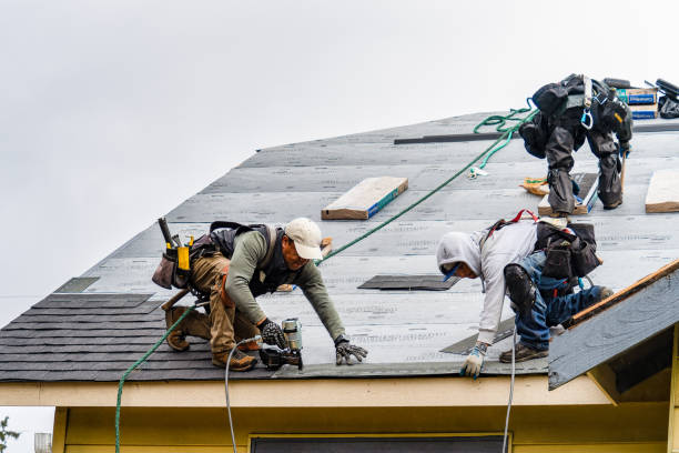Professional Storm Damage Roof Repair technician working in Perkinston, MS