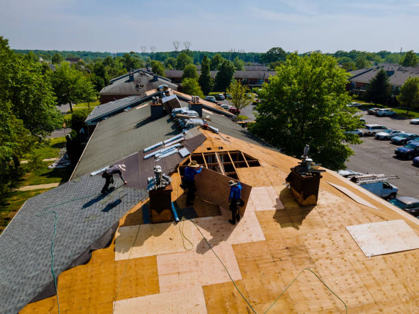 24/7 Emergency Storm Damage Roof Repair experts in Perkinston, MS